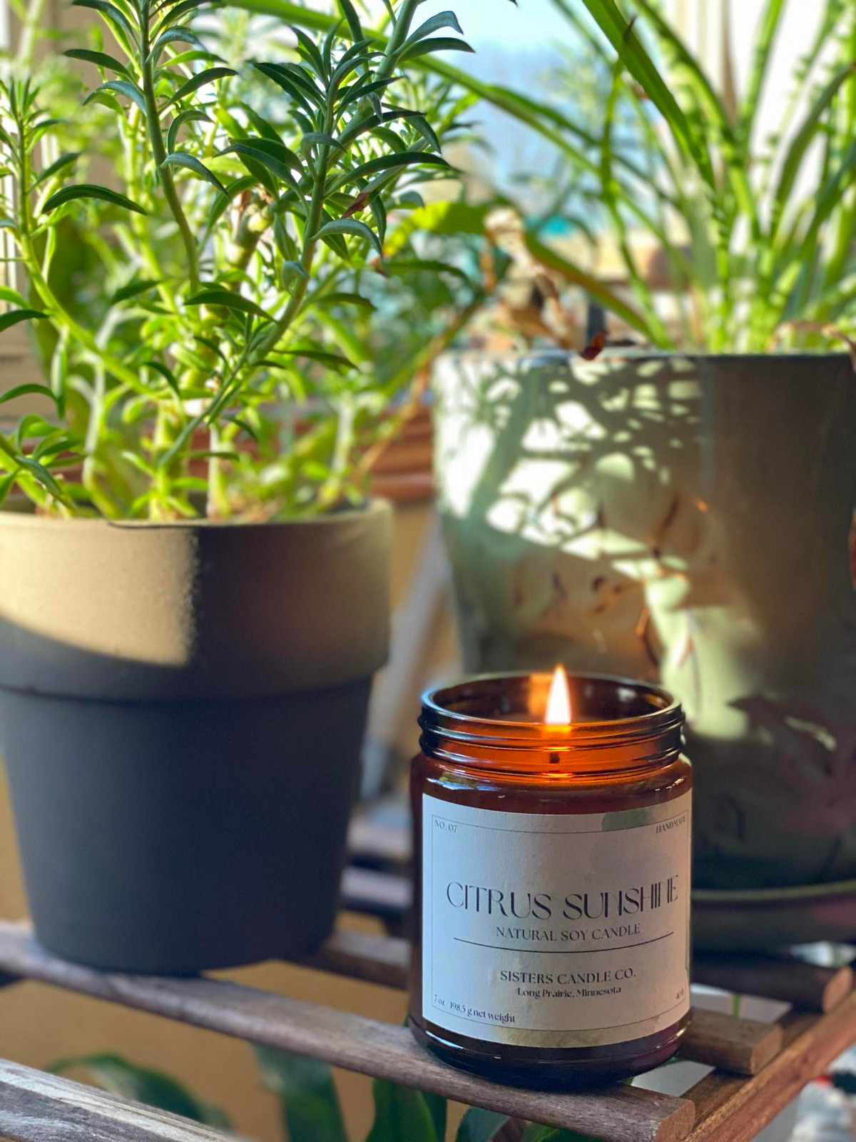 Citrus Sunshine